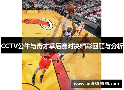 CCTV公牛与奇才季后赛对决精彩回顾与分析