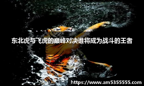 半岛体育官方网站