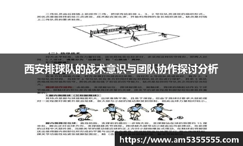半岛综合体育入口